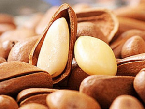 ���ӵĹ�Ч������ ���ӿ�������Ѫ�ܻ����ڷ�����