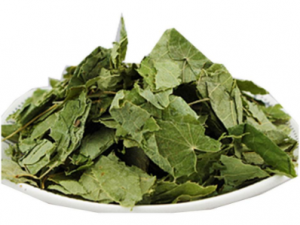 ���˲�����ҩ����Щ ���˲�����ҩ�䷽��ȫ