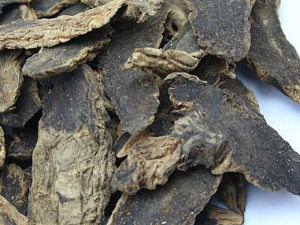 Ƥ���������อ�����й� ��ҽ��������Ӷ������������