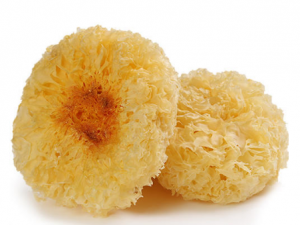 �ﶬ�����������еĸ߷����� ��β���Ԥ����������