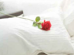 ����˯����������� ˯�������������Ŷ���