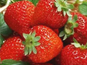 ��Щʳ�����峦�Ŷ����� ���ϳ�ʲô�Ŷ����