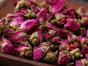 ��10�ֻ����Ů������ һ�𿴿���10�ֻ����