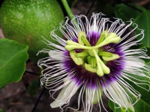 �������Ĺ�Ч������ ������������ֹ����������