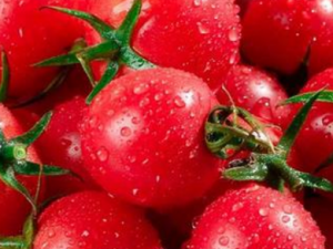 8��ʳ���ڼ���״̬ʱ��ò�Ҫ�ո�ʳ�� ���������𽡿�