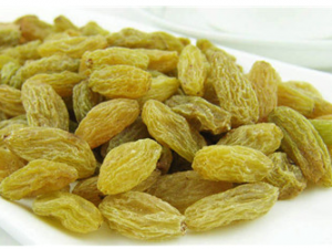 ѸɵĹЧ ѸѸɸάؿɰ