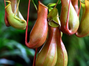 �����ݵĹ�Ч���� �������η������