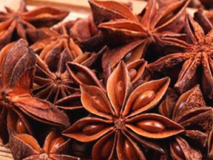 �˽ǵĹ�Ч������ �˽ǿɻ��⾷����ʹ