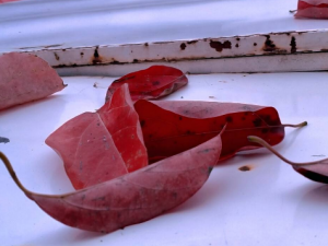 ����Ĺ�Ч���� ���������м���