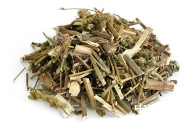 水茴香的功效与作用 水茴香的用法用量和使用禁忌 - 中药360