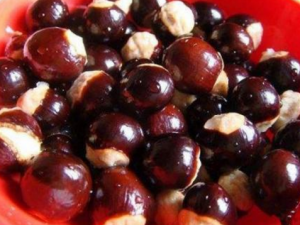 ���������Ƿν���� �ν�˵���ʳ����