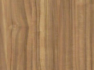 ֹкľƤ�Ĺ�Ч���� ֹкľƤ��������θ����