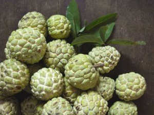 ���ȹ���ʳ�ý��� ���ȹ���������Щʳ�����