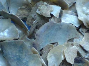 ����ĸ����Щ��Ч���� ����ĸ�θ�������ͷ��ͷʹ