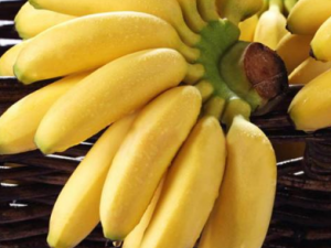 �۽��Զ�����ʲô���� �۽���Ӫ����ֵ