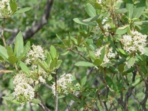 ��ɽ������Щ��Ч���� ��ɽ����������������