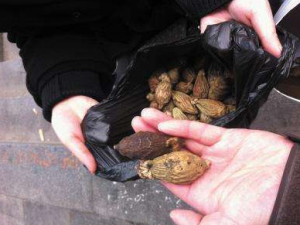 ����������Щ��Ч ��������̵ֹ������������