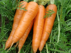 �������ܲ���̫�ಢ���� �����Ժ��ܲ��Ľ���