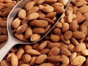 ��ν����ﲻ���Ե����� �����ȷʳ������