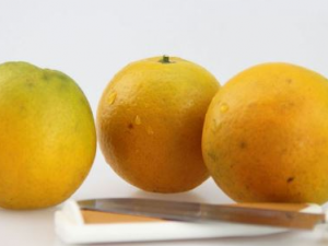 ���಻�û�����Щ֢״ ���಻�����������