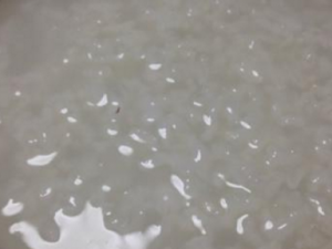 �����Ȱ�����Ӫ���� ������θ�������