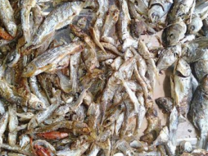 ��������ҽ����ƫ�� �����鷽�ʺ���������