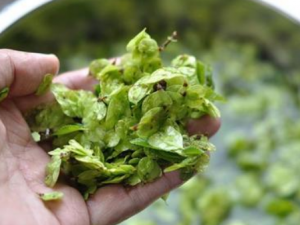 �ܼ�������Щ��Ч �ܼ�������������г�