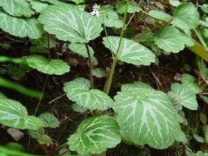 �ϻ������Ĺ�Ч���� �ϻ�����������������