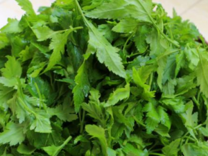 �ջ��ԵĹ�Ч���� �ջ������ڸ�ð���ȷ���ͷ��