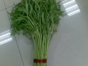 ޼��Ĺ�Ч���� ޼����������а���纮ʪƢ