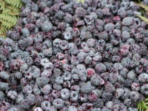 Ӳ֦����÷�Ĺ�Ч���� Ӳ֦����÷ֹ���������Ѹ�