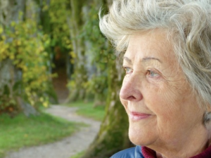 ����Ƥ���������������� ����Ƥ������Ļ���С����