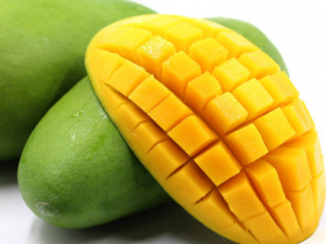 ��â������Щע������ ��â���������Ӧ��