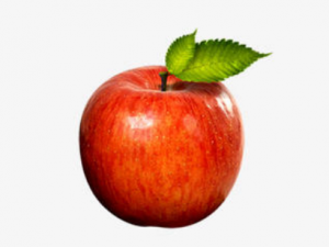 ƻ����õ�ҲҪѡ��ʱ��� ���ϳ�ƻ������������Σ������