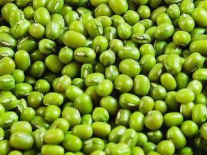 �����г����Ľⶾʳ������Щ��