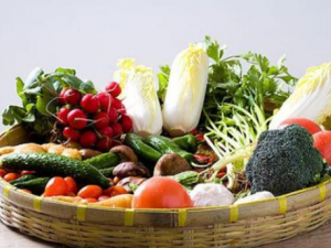 �����˵��ճ���ʳ���� �������ճ���ʳ����