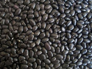 �ڶ��ݴ׵Ĺ�Ч �ڶ��ݴ�ʳ��ʱҪע����Щ����