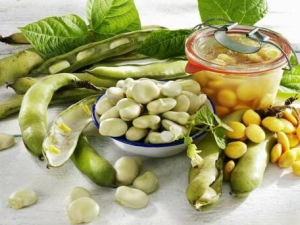 ����������Щ���� �����������Ʒ���