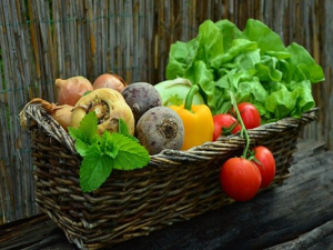 ����Ҫ����������� ���������ķ���