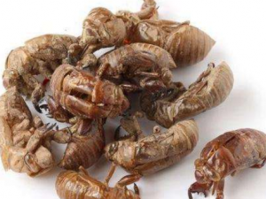 ����ɢ����Щ��Ч ����ɢ��к�ĸ�֮��