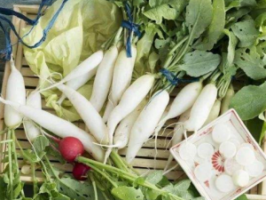 �ܲ�������Щ���� �ܲ��Ŀ�����Ч