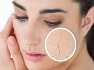 ��γ������Ƥ���ϵĻҳ��͹� С�����֧��