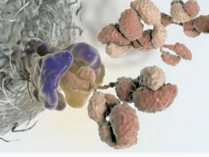 �����̻�Ӱ���˵�һ������ ��������Զ�������