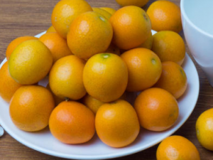 ��ţ�̺�����Щʳ�� ��ţ�̺������Ӱ��ţ�̵�����������