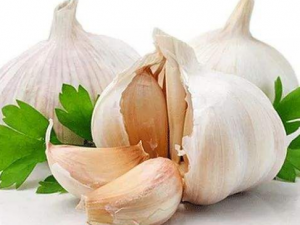 ���ⷢѿ�ܳ��� ��ѿ�Ĵ����ܽ�����