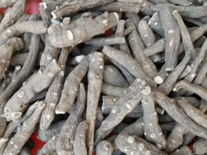 ѩ��һ֦������Щ��Ч ѩ��һ֦���ε�������