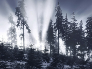 ѩɽЩЧ ѩɽηʪԽʹ