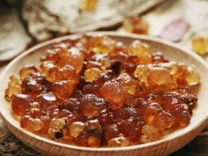 Ů�Զ������ʳ����Ŷ��峦���ݻ���