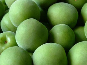 ������3��ʳ����Բ���Ӫ���������ݻ���