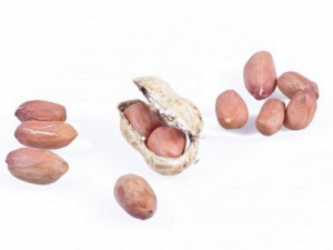 ������ҩҲ�ᵼ�¹��� ���Է�����ҩһ��ҪС��